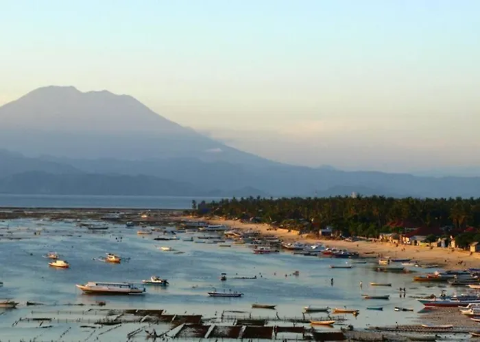 Lembongan Reef ホテル 4*
